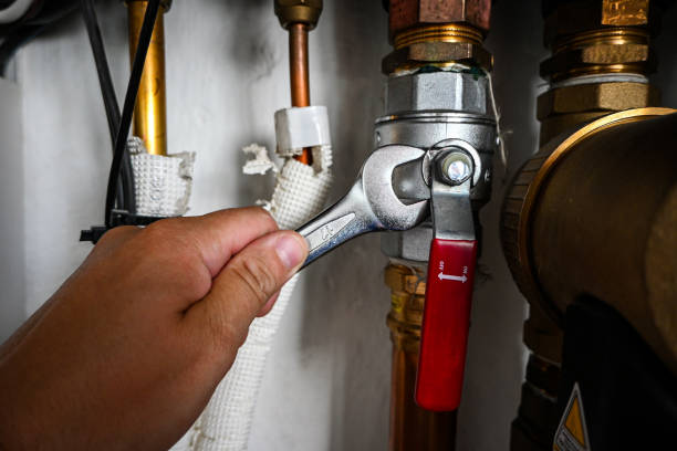 Best Affordable Plumber Near Me  in Brooksi, DE